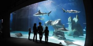 Acquario di Genova