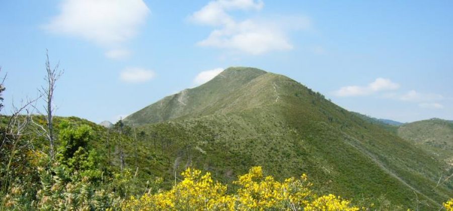 Monte Piccaro